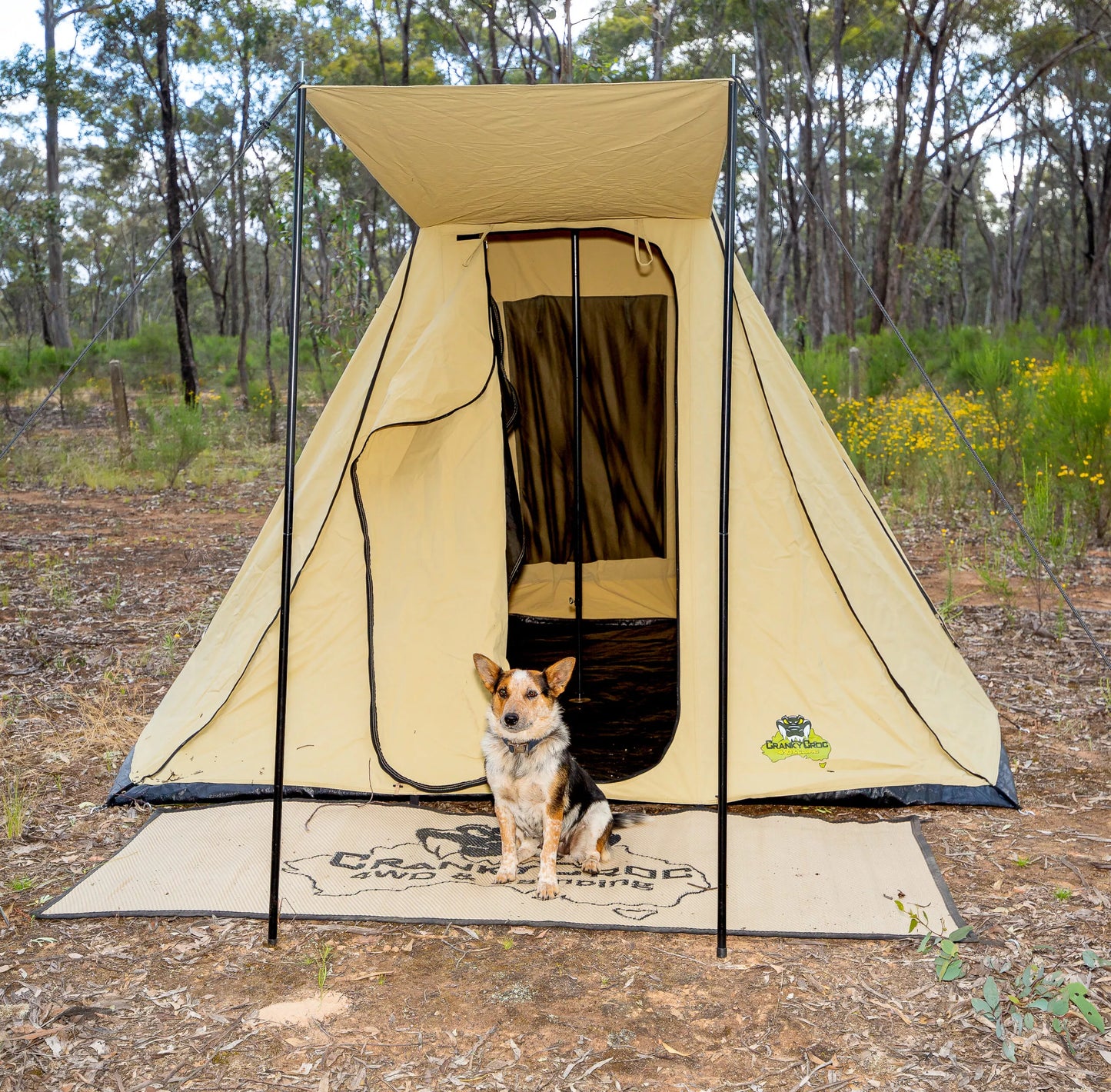Dog sitting in front of a Instant Tent. The family tent is set up in bushland.
