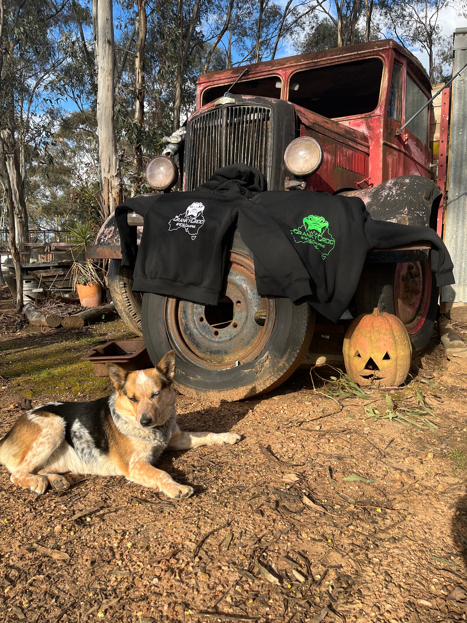 Black hoodies with logos draped over an old rusted truck, with a dog lying on the ground in front.