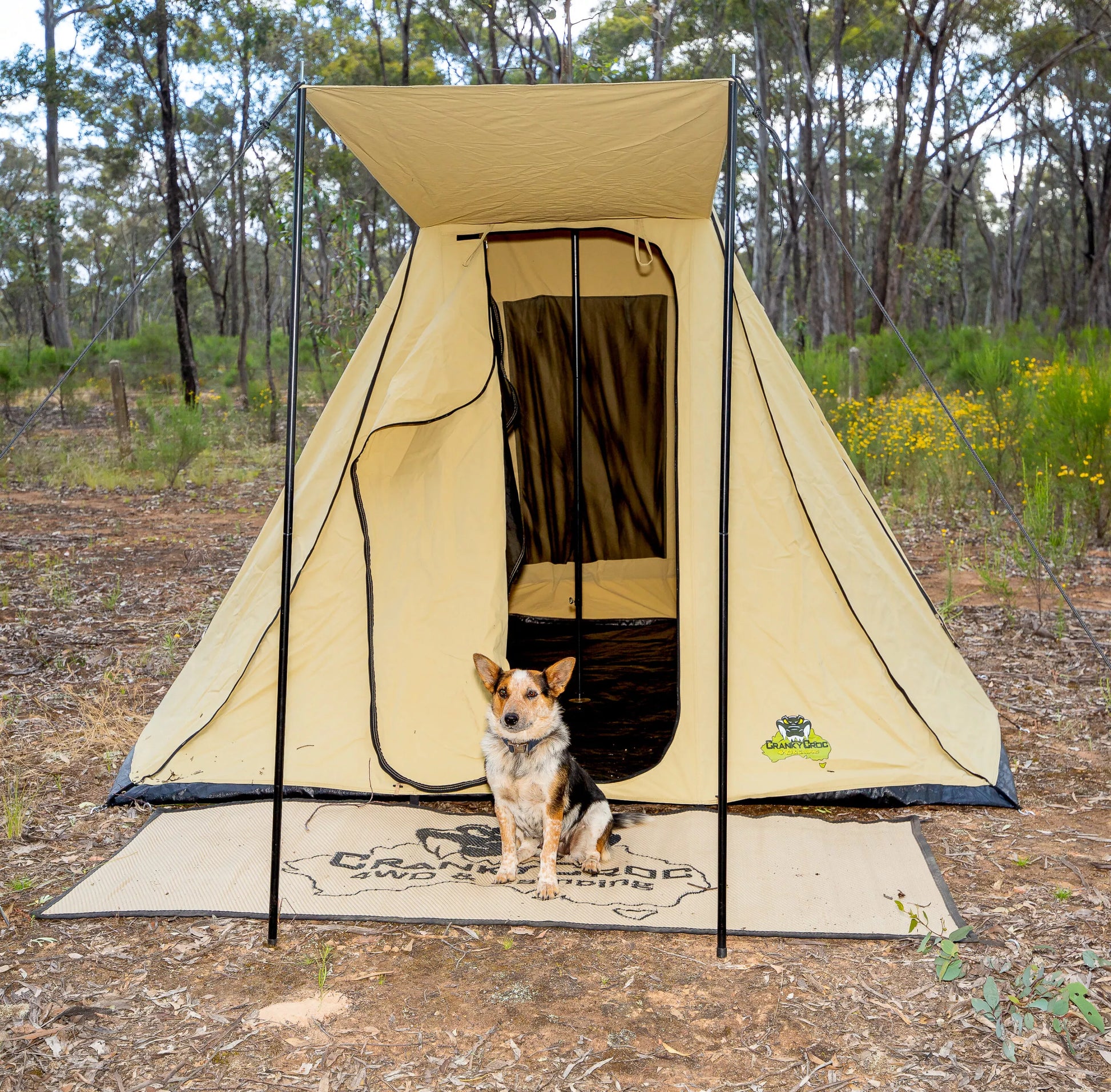 Dog sitting in front of a Instant Tent. The family tent is set up in bushland.