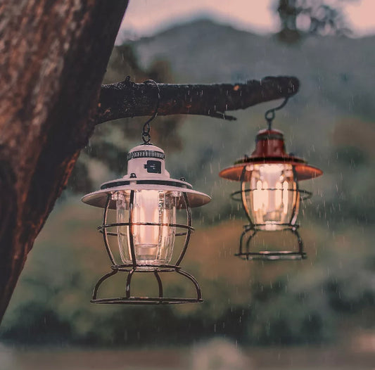 Image of Rechargeable Outdoor Lantern hanging from tree branch.