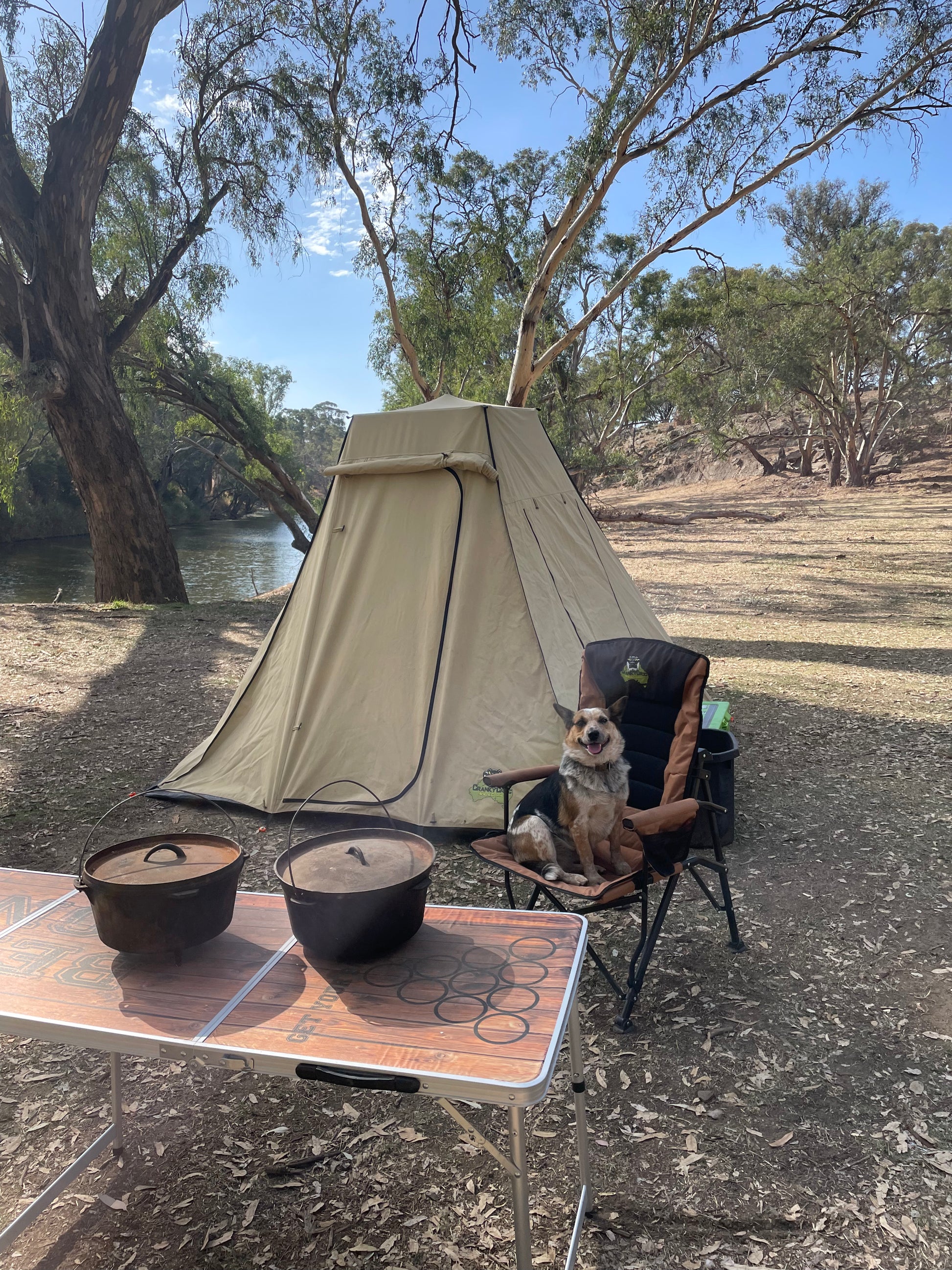 Camping scene with a family tent, table, and dog sitting on a camp chair. The instant tent is set up in bushland by a river